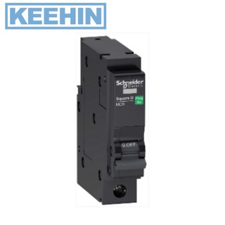 เบรกเกอร์กันดูด 1P 40A 240V Breaker QO140C06RCBO30 1P 40A 240V