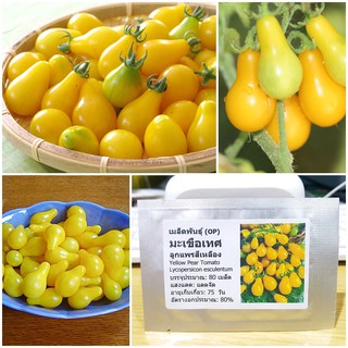 เมล็ดพันธุ์ มะเขือเทศลูกแพรสีเหลือง (Yellow Pear Tomato Seed) บรรจุ 80 เมล็ด คุณภาพดี ราคาถูก ของแท้ 100%