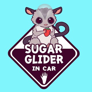 ป้ายติดรถยนต์ DIC62 จุ๊บติดกระจก  Sugar glider ป้ายติดกระจก ป้าย สติ๊กเกอร์