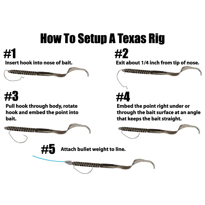 ++หนอน/ไส้เดือนยาง 6