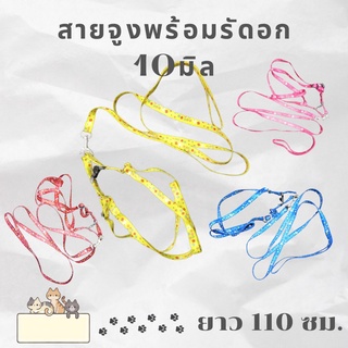 สายจูง พร้อมรัดอก ผ้าไนล่อน หนา 10 มิล ยาว 110 ซม.