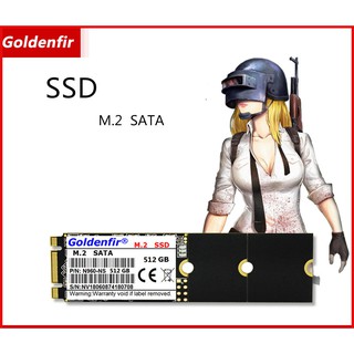 Goldenfir M.2 SATA ราคาส่ง