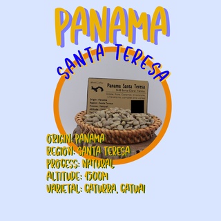 พร้อมส่ง เมล็ดกาแฟดิบ Panama Santa Teresa Natural Process / เมล็ดกาแฟนอก/เมล็ดกาแฟสาร/ เมล็ดกาแฟสาร ปานามา