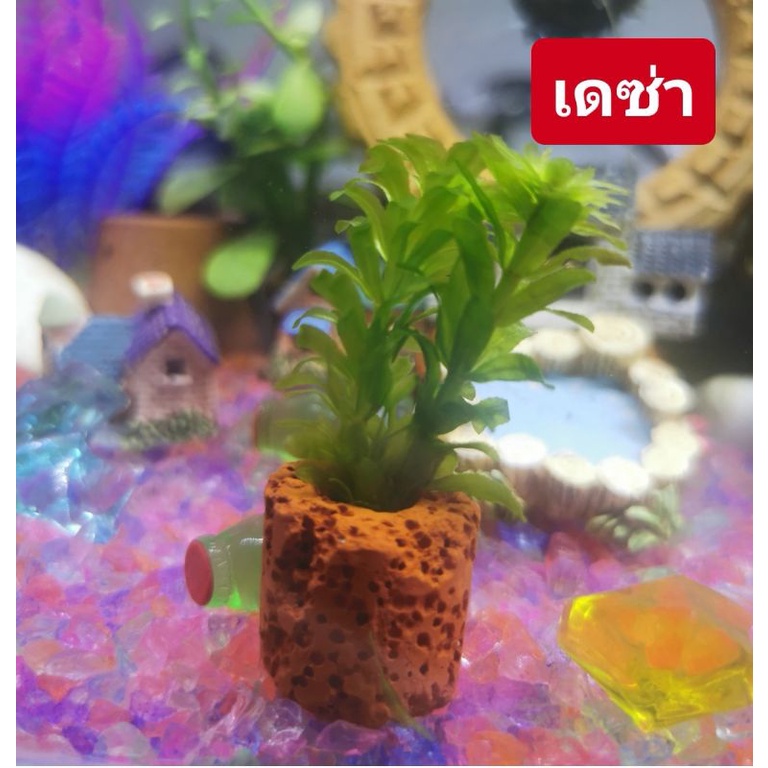ไม้น้ำ​ แต่ง​ตู้ปลา​ ซื้อ2แถม1 ต้นแถมร้านเลือกให้
