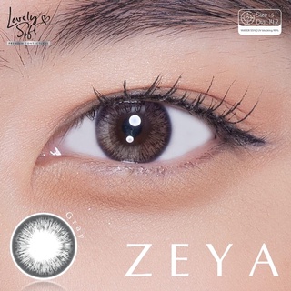 Zeya gray พร้อมส่งค่าสายตา (Lovelysoft)