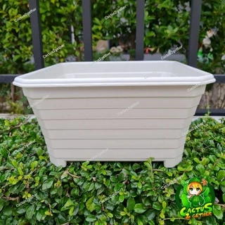 ถูกและหนา‼️กระถางเหลี่ยมโรมันทรงบอนไซ(ทรงเตี้ย)มีขา หนา7"/10"/14" ❌️ไม่รวมจานจานขายแยกค่ะ❌️ สีขาวครีม/เทา/ดำ/อิฐ