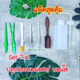 Mastercheech Set ปลูกกระบองเพชร บอนไซ🇹🇭พร้อมส่ง🇹🇭