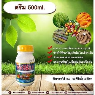 ตรึม 500ml. ธาตุอาหารรอง ธาตุอาหารเสริม เร่งราก เร่งต้น เร่งใบ ใบเขียว แตกตาดอก ตายอด แช่ท่อนพันธุ์ allaboutplants