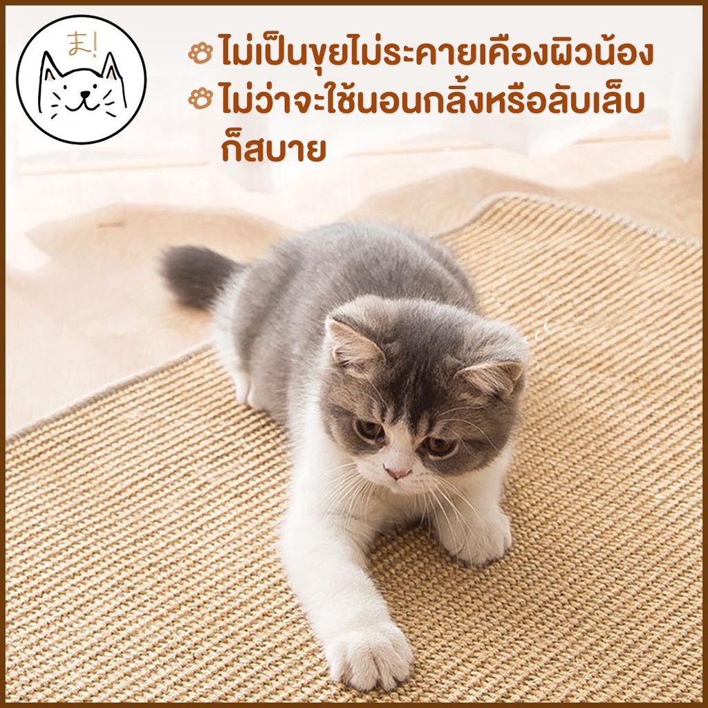 KUMA まพรมลับเล็บแมว S-XXL ที่ลับเล็บแมว เสื่อลับเล็บแมว แผ่นลับเล็บแมว กันข่วน ของเล่นแมว ที่นอนแมว กันข่วน Cat Mat รูปที่ 2