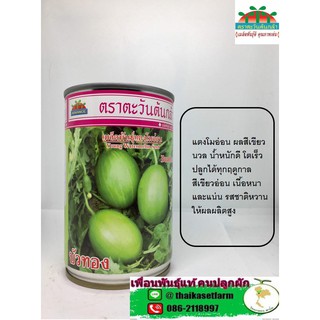 แตงโมอ่อน บัวทอง ตลาดต้องการมีให้เลิอก2ขนาด