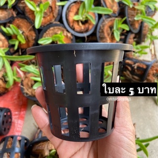 🌺 กระถางพลาสติกสำหรับกล้วยไม้ 4นิ้ว ใบละ5บาท 💥