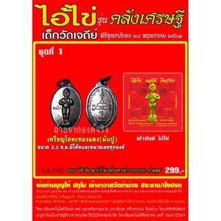 เหรียญไอ้ไข่ เด็กวัดเจดีย์แท้ รุ่น คลังเศรษฐี นครศรีธรรมราช