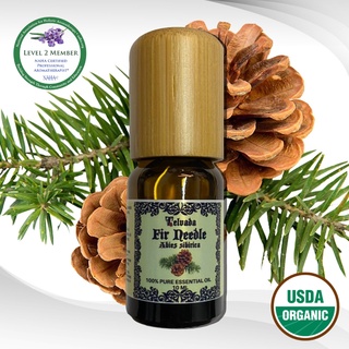 Fir Needle USDA Organic Essential Oil น้ำมันหอมระเหย ต้นสนเข็ม เฟอร์นีดเดิล ออร์แกนิค