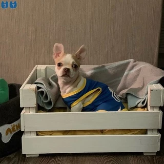 『27Pets』 เสื้อกั๊กบาสเก็ตบอล ระบายอากาศ แฟชั่นฤดูร้อน สําหรับสัตว์เลี้ยง สุนัข แมว