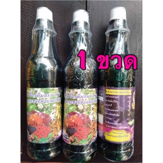 เครื่องดื่มสมุนไพรกระชายดำผสมโสม ตรานกอินทรีย์คู่