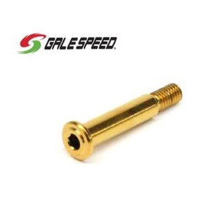 หมุดทองปั้ม Brembo RCS / หมุดทองคลัชสายGALESPEED / PIN GOLD FOR CABLE CLUTCH &amp;  PIN GOLD FOR BREMBO RCS MASTERCYLINDER