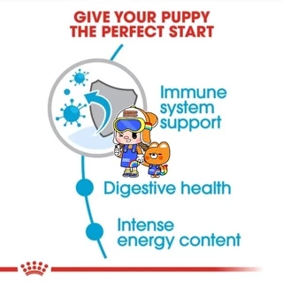 Royal Canin Mini Puppy 4kg โรยัลคานิน ลูกสุนัข พันธุ์เล็ก ถุงขนาด 4 กิโลกรัม