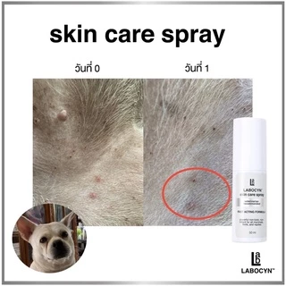 Labocyn Skin Care Spray 500ml สเปรย์ดูแลผิวหนังสำหรับสัตว์เลี้ยงขนาด 500มล (ผิวหนังขวดใหญ่)