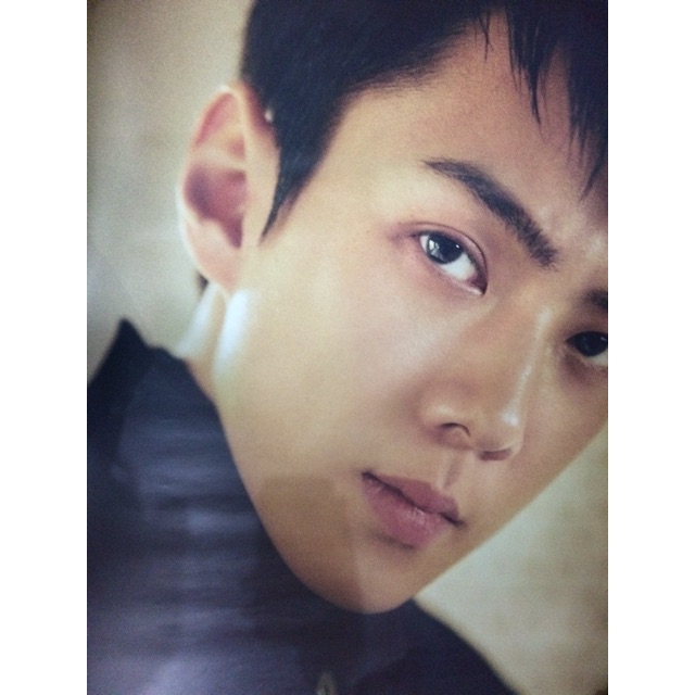 โปสเตอร์ EXO SEHUN**