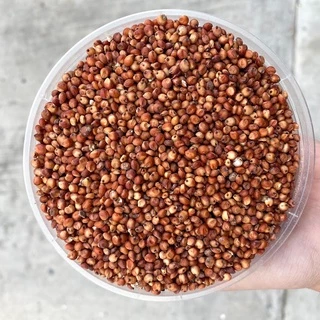 ข้าวฟ่างแดง อาหารนก หนูแฮมสเตอร์ อาหารนกเขาใหญ่ เขาชวา นกแก้ว (แบ่งขาย 500G / 1KG)