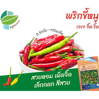 พริกขี้หนูสวน (Little Bird Chilli)​