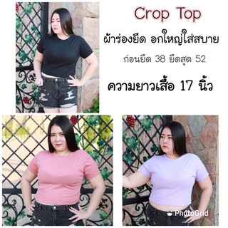 เสื้อยืดครอปฟรีไซต์สาวอวบใส่ได้ ยืดได้ถึง52นิ้วยาว17นิ้ว