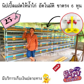 พร้อมส่ง! ชุดนิปเปิ้ลให้น้ำไก่ท่อคู่ 6หุน นิปเปิ้ลให้น้ำไก่อัตโนมัติ พร้อมถ้วยรองน้ำไก่+นิปเปิ้ล