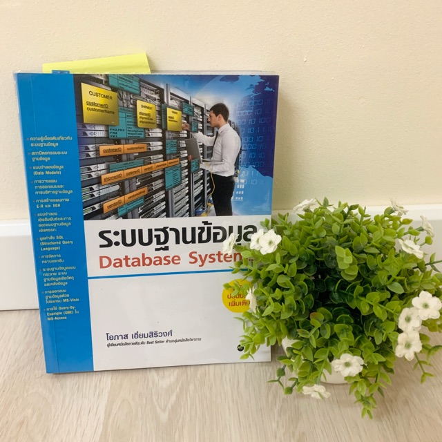 ระบบฐานข้อมูล (database system)