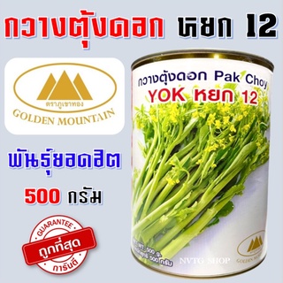 กวางตุ้งดอก หยก 12 ขนาด 500 กรัม ต้นใหญ่ น้ำหนักดี หยก กวางตุ้งดอก เมล็ดพันธ์ุกวางตุ้งดอกหยก เมล็ดกวางตุ้งดอก