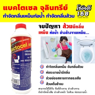 แบคโตเซล จุลินทรีย์ กำจัดกลิ่นส้วม  Bactocel 2001 กำจัดกลิ่นเหม็น กำจัดกลิ่นส้วม ท่อน้ำเหม็น   บำบัดน้ำ น้ำเน่าเสีย