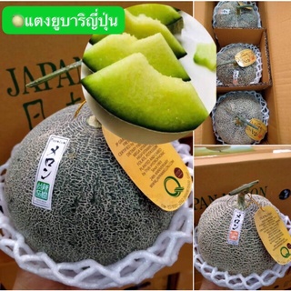 🍈แตงยูบาริญี่ปุ่น  อร่อย หวาน หอม 1 ลูกประมาน 1.5 Kg.