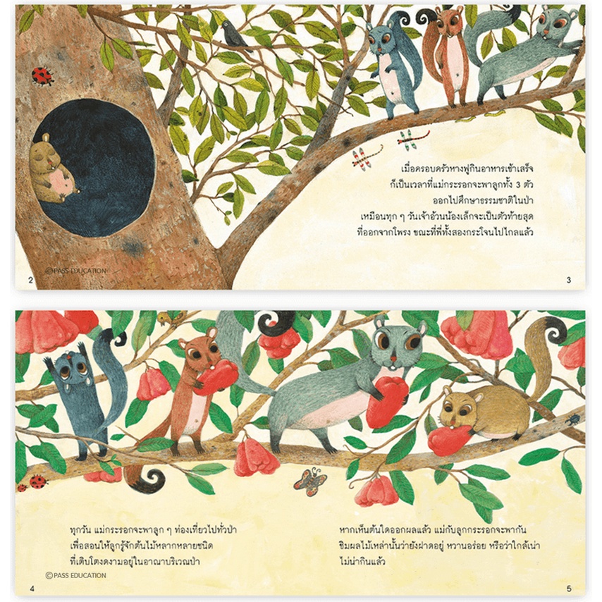 รูปภาพ 4