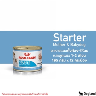 Royal Canin Starter Mousse 12 กป/แพ็ค