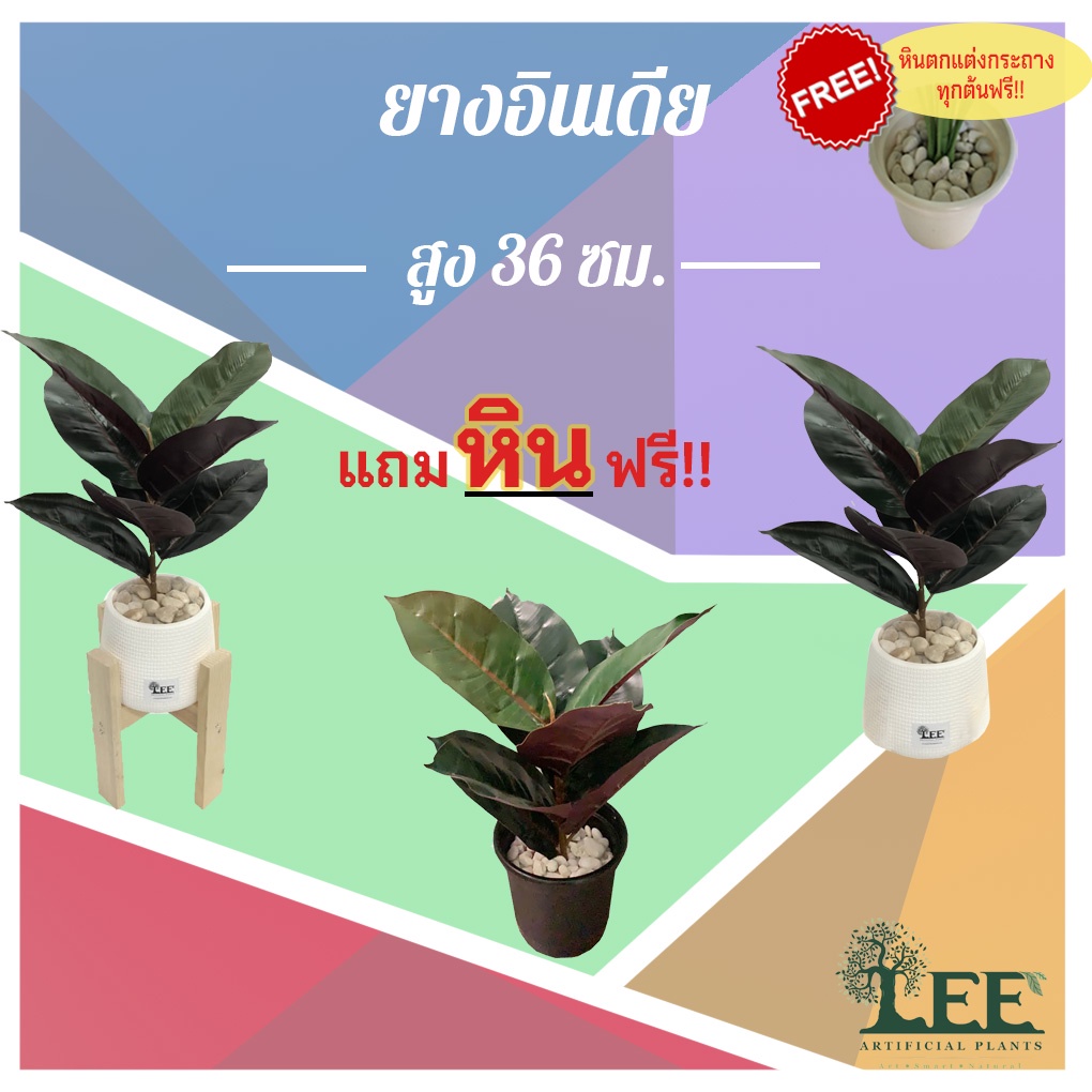 ต้นยางอินเดียหลังแดง สูง 75 CM ต้นไม้ประดิษฐ์​ ต้นไม้ปลอม ตกแต่งบ้าน ตกแต่งห้อง
