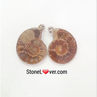 #Ammonite#จี้ฟอสซิลหอย #แอมโมไนต์