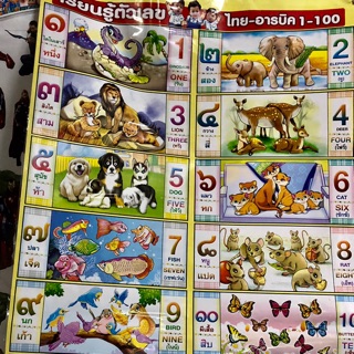 โปสเตอร์หัดนับเลข1-100 หุ้มพลาสติก