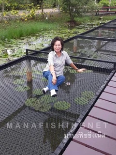 ตาข่ายแพนอน ตาข่ายรีสอร์ท เปลตาข่าย ⭐️ UV Protection ขนาด 2x4 เมตร และขนาดอื่นๆให้เลือก