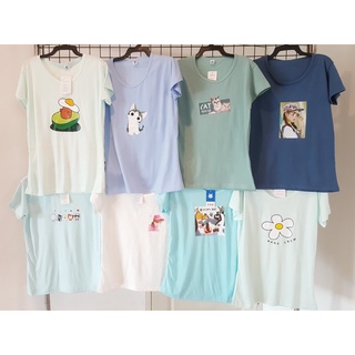 New‼ 💥เสื้อยืดแฟชั่นลายการ์ตูนน่ารัก เสื้อยืดผู้หญิงคิวท์ๆ คละลาย คละสี💥