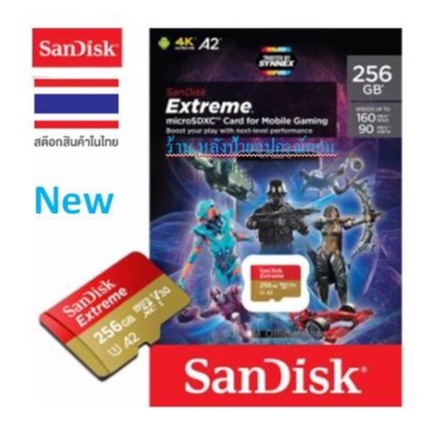 SANDISK 256 GB MICRO SD CARD CLASS 10 (SDSQXA1-256G-GN6MN)