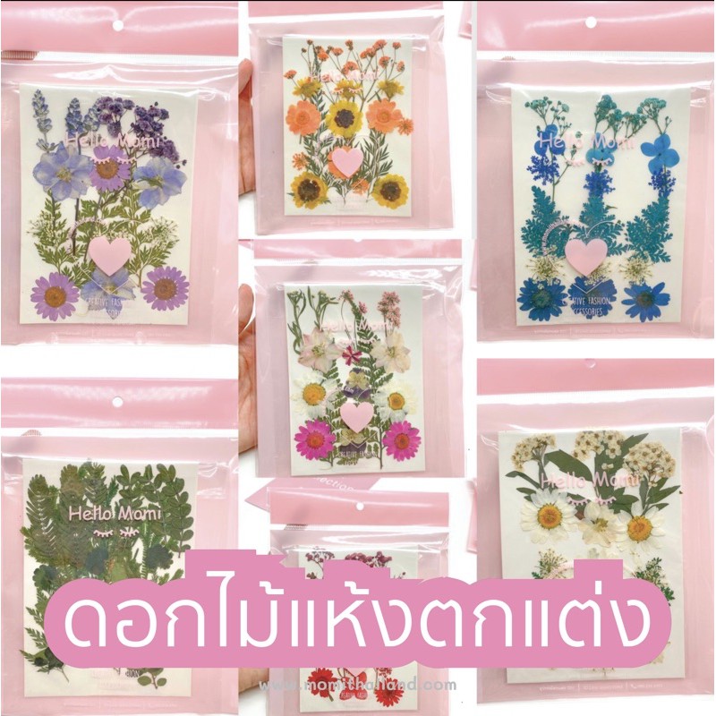 ดอกไม้แห้งตกแต่ง Dried flowers Shopee Thailand