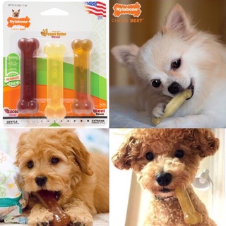 Nylabone Gentle Chew ของเล่นขัดฟัน