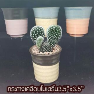 กระถางเคลือบทรงโมเดิร์น 3.5"×3.5" 6 ใบ 189 เหลือแต่ส้มดำ
