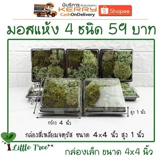 มอสแห้งกล่องเล็ก บรรจุ 4 ชนิด ขนาดและปริมาณของสินค้าตามที่ระบุไว้ อ่านก่อนสั่งซื้อ
