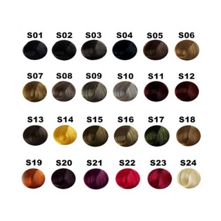 ดิ๊พโซ่ ครีมเปลี่ยนสีผม สีย้อมผม สูตรไม่มีแอมโอเนีย / สูตรเพิ่มความเงา 5X DIPSO Hair color