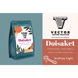 VECTOR : เมล็ดกาแฟคั่วกลาง ดอยสะเก็ด natural process