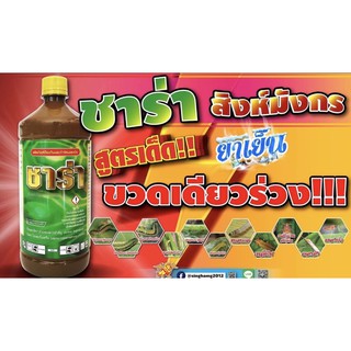 ชาร่า1ลิตร กำจัดเพลี้ยหนอนอยู่หมัดน๊อคในขวดเดียว👍