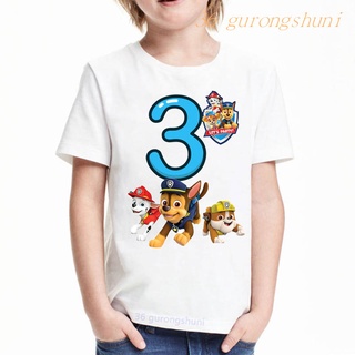 เสื้อยืด พิมพ์ลายการ์ตูน Paw Patrol Mashall Ryder Sky Dog สําหรับเด็ก