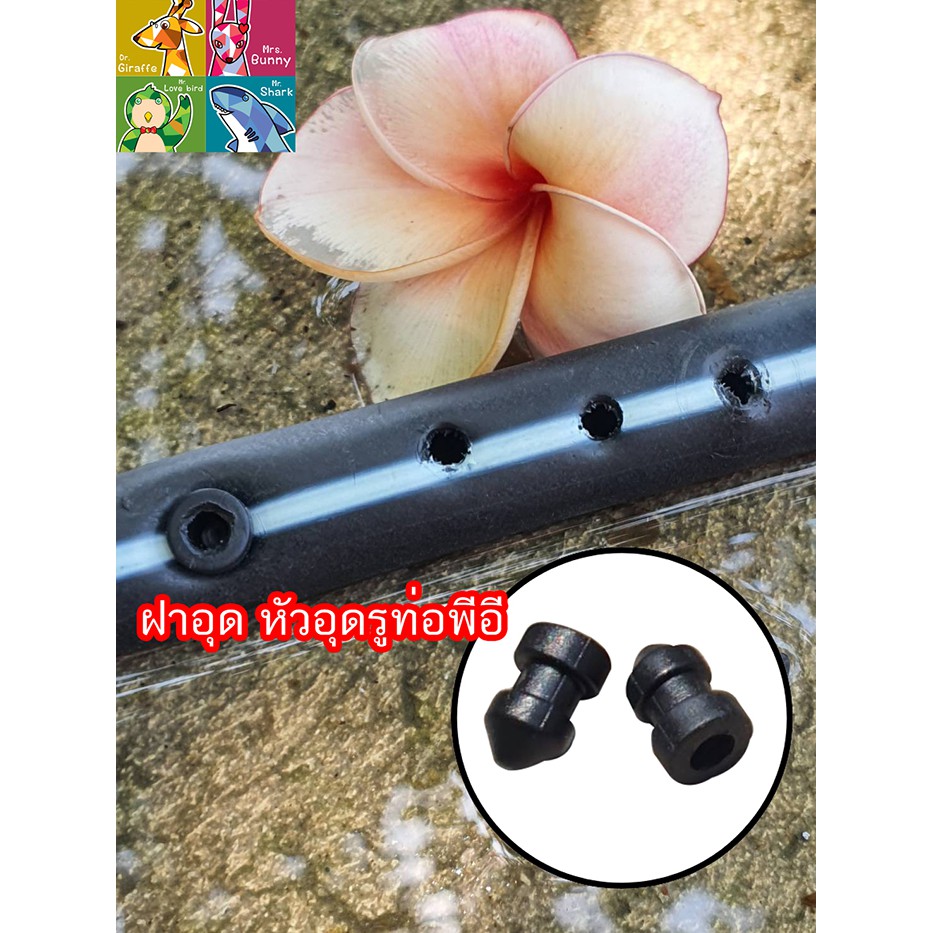 ฝาอุด หัวอุด สำหรับรูที่เจาะผิด หรือต้องการย้ายตำแหน่ง