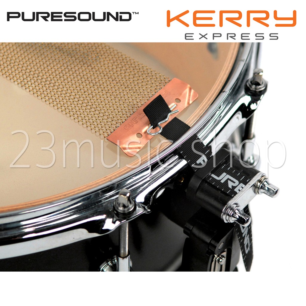 Puresound แส้สแนร์ ขนาด 13นิ้ว 14นิ้ว 20เส้น 24เส้น Brass coil made in USA