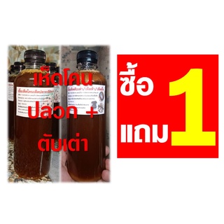 เชื้อเห็ดตับเต่า (เห็ดผึ้ง,เห็ดห้า) 1 ขวด + เชื้อเห็ดโคน เห็ดปลวกดอกใหญ่ 1 ขวด รวม 2 ขวด